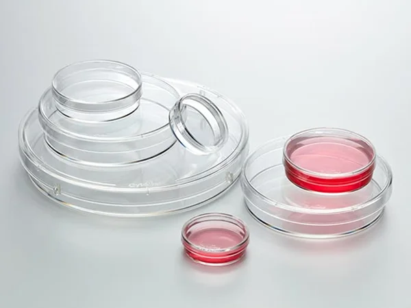 Multiple transparent cell culture dishes of different sizes, some dishes containing red culture medium