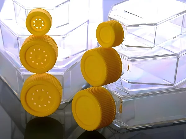Cell culture flasks in various specifications with different lid types, including sealed lids and ventilated lids