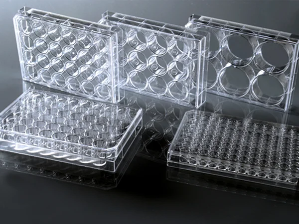 Various transparent cell culture plates, including 6-well, 24-well, and 96-well formats with different well counts