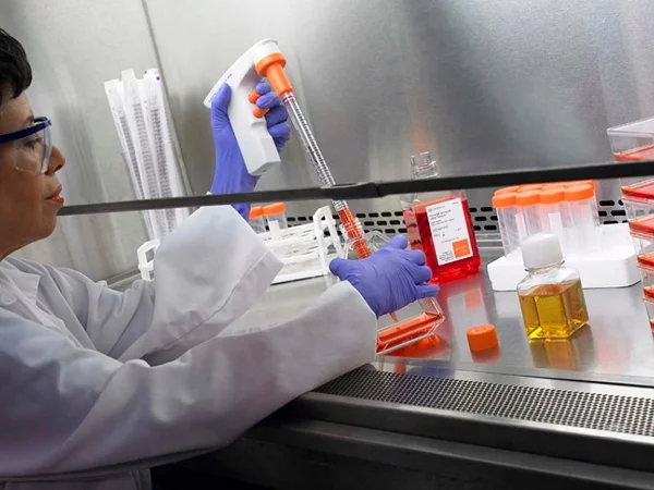 Laboratory researcher handling cell culture flasks inside a biological safety cabinet.