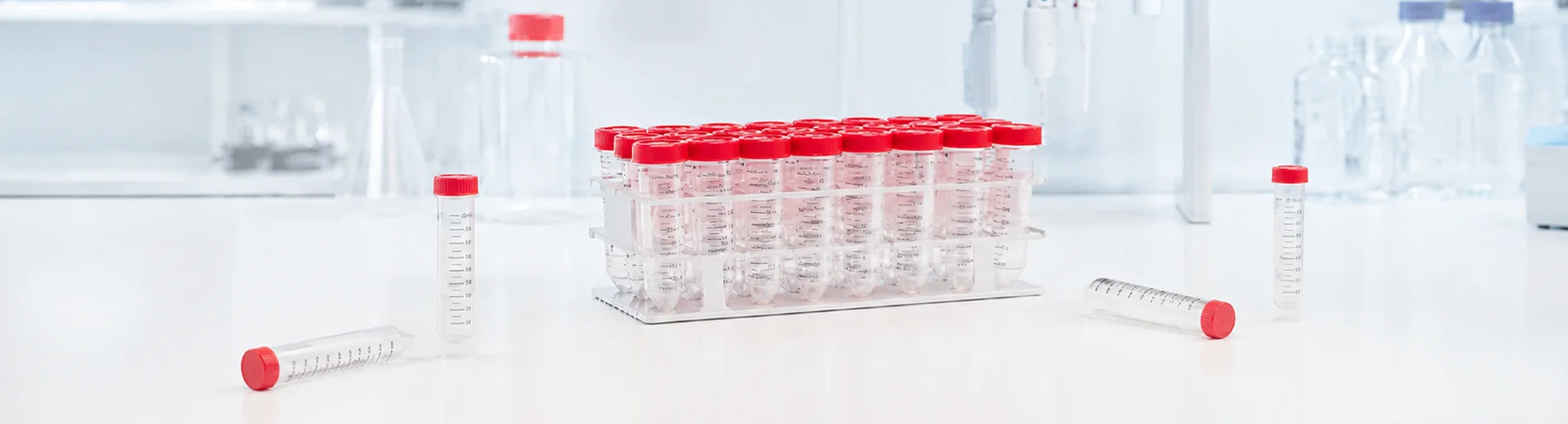 Red-capped disposable centrifuge tubes arranged in a rack and on a laboratory bench.