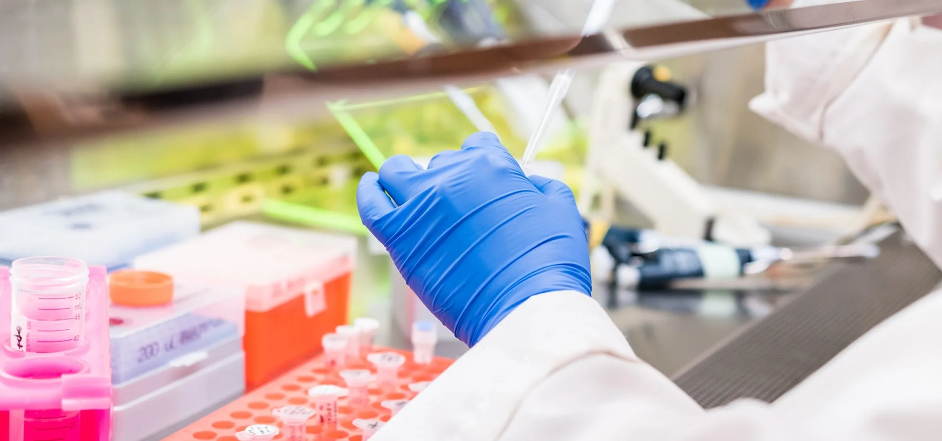 A researcher uses a pipette in a biosafety cabinet to transfer liquid into PCR tubes.