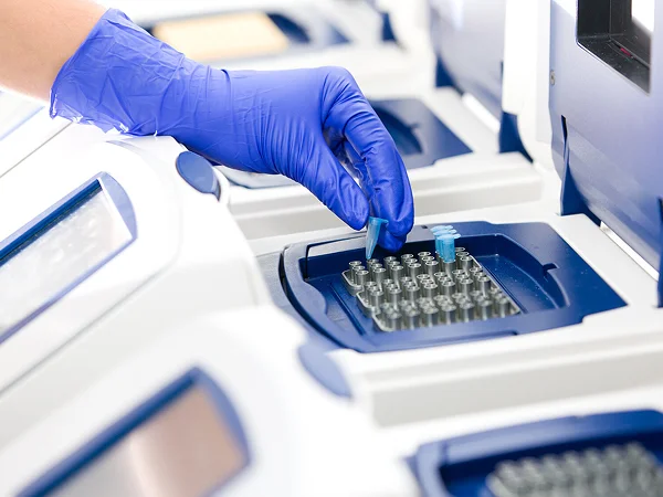 Gloved hand placing PCR tubes into a molecular biology analysis instrument.