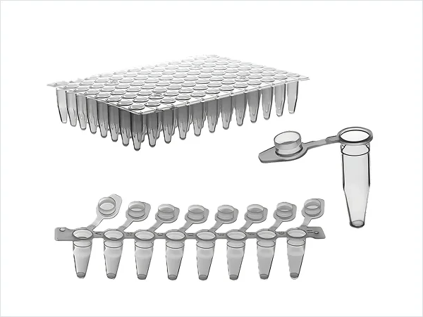 PCR plate, PCR strip tubes, and individual PCR tubes displayed on a white background