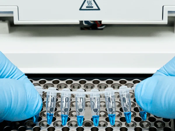 Laboratory personnel placing PCR 8-Strip tubes into a PCR instrument