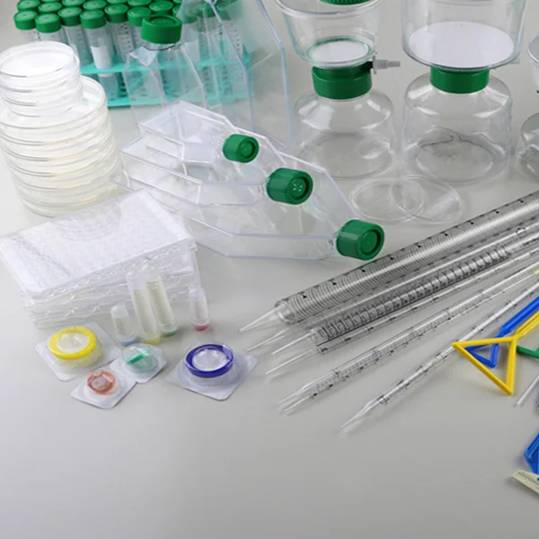 Laboratory bench with culture flasks, Petri dishes, filtration units, pipettes, and centrifuge tubes.