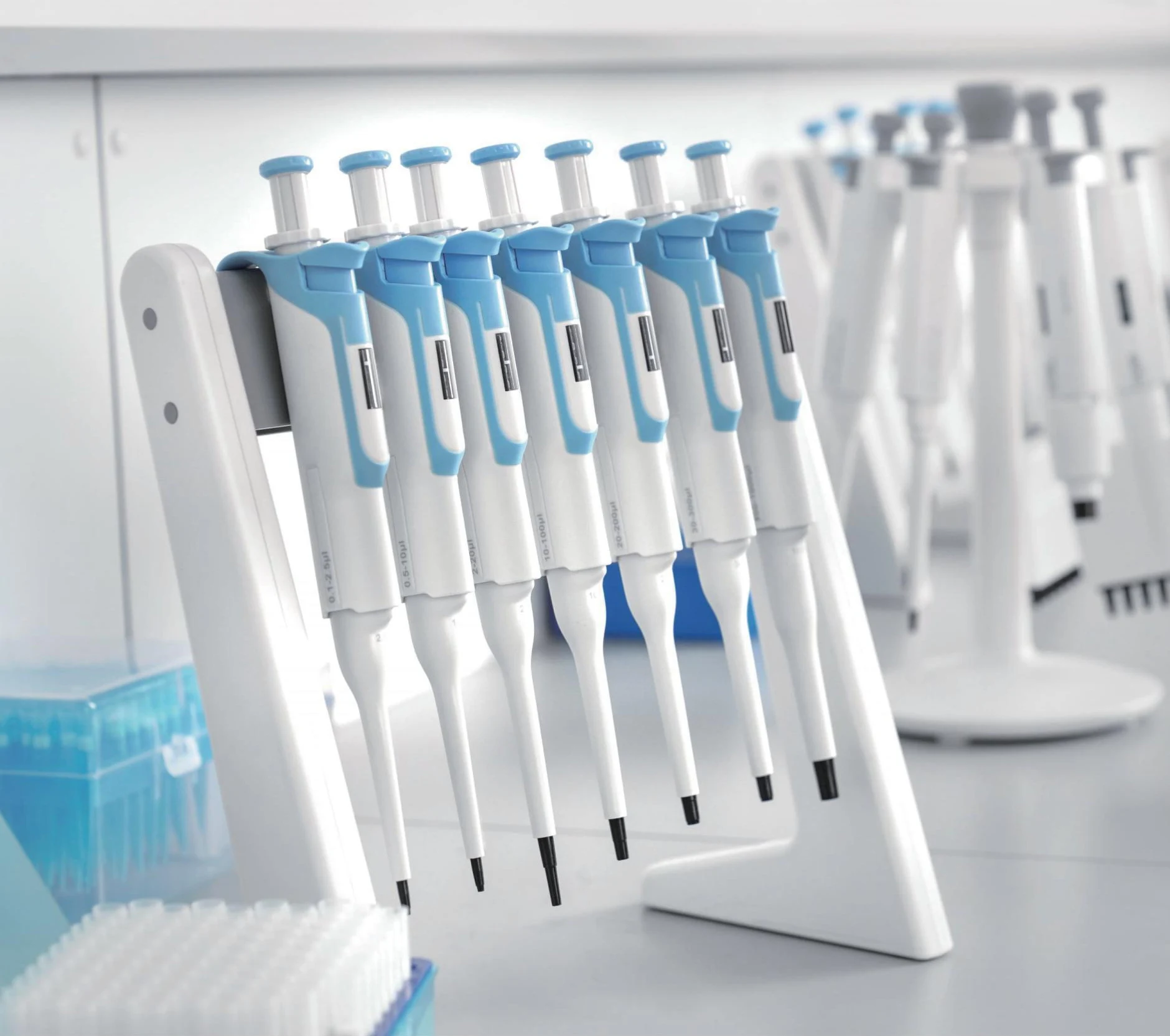 Micropipettes neatly arranged on a laboratory stand for convenient storage and routine experimental use.