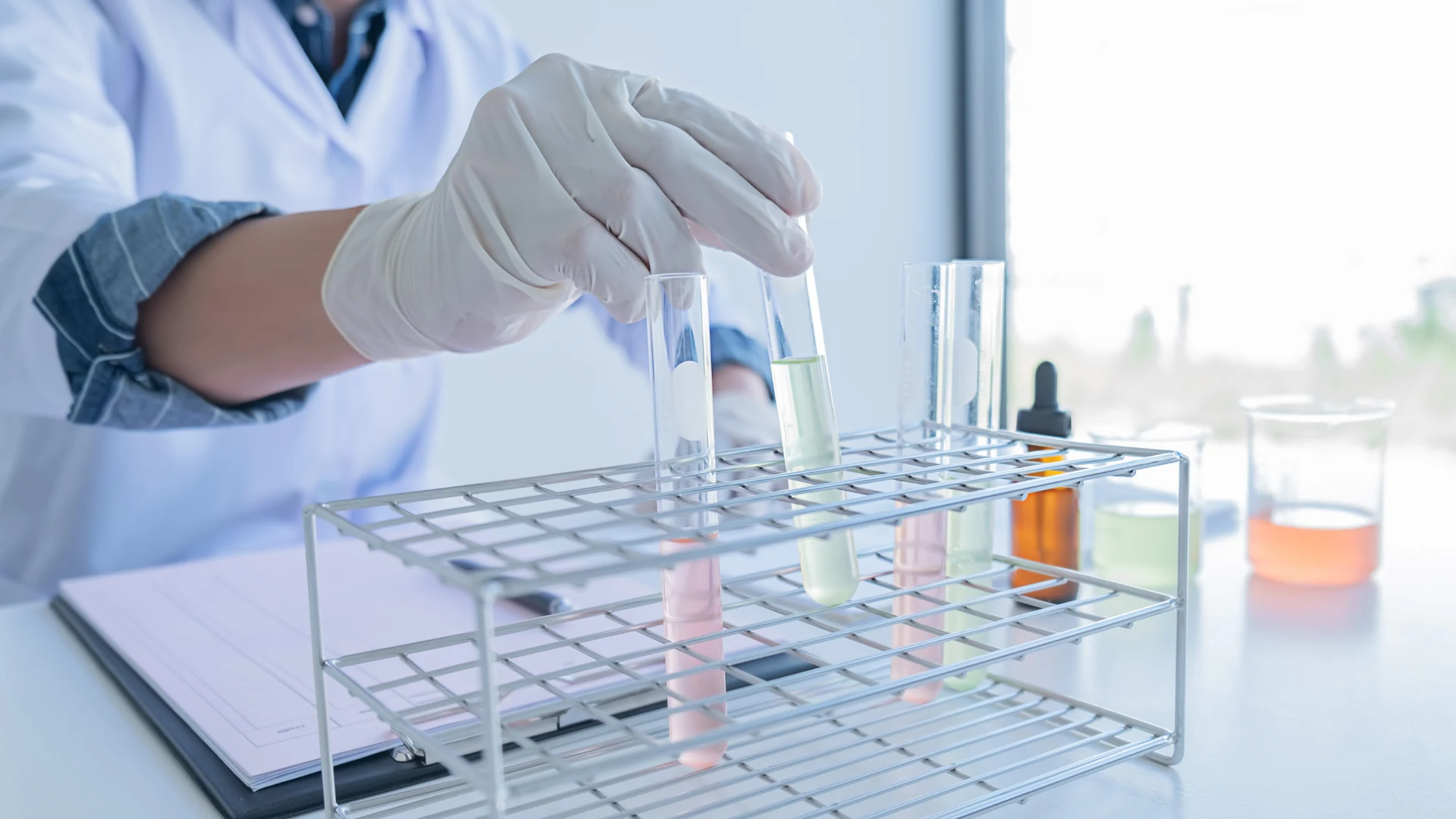 A researcher removes a liquid-filled glass test tube from a rack for observation.